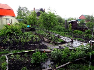 С сентября начнут действовать критерии заброшенности земли