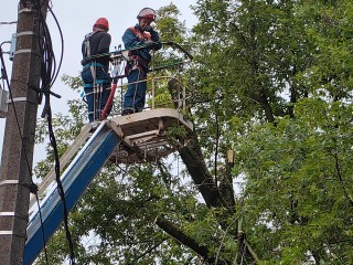 Линию электропередач на улице Советской освободили от разросшихся крон деревьев