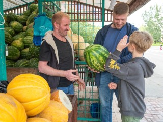 С 1 августа откроются официальные точки продажи арбузов и дынь