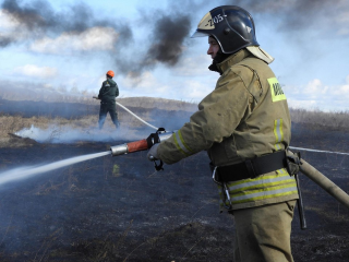 В Луховицах побороли крупный природный пожар за Окой