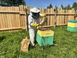 Фермер в Шаховской начал производить честный мед