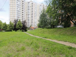 Огромный зеленый луг на центральной улице Фрязина убрали от хлама и мусора
