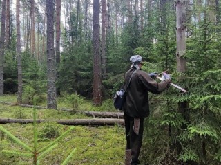 В Орехово-Зуеве продолжили санитарную очистку лесов