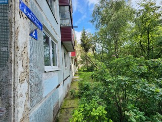 Упавшее на пятиэтажку дерево в Чехове уберут в четверг
