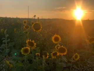 Ни дождя, ни ветра: в Видном на выходных будет чудесная погода