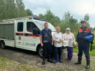 Спасатели  разыскали трех пенсионерок, заблудившихся в лесу в Можайском округе