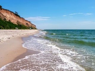 Отдыхающие из Истры устроили флэшмоб приветствий из теплых стран
