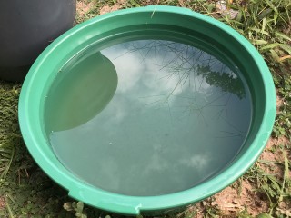 Холодильник на природе: как летом сохранить свежими продукты в походе
