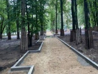 В сквере на улице Крупешина провели санитарную обрезку деревьев