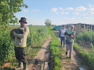 Директор московского зоопарка проверит факт жестокого обращения с животными в Люберцах