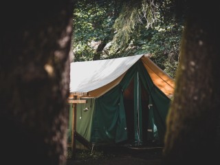 Школьники узнают о редких растениях на экспедиции в Богородском округе