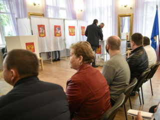 На выборах в Подмосковье выдвинуто уже 210 кандидатов