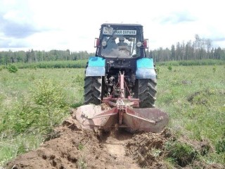 В Истринском лесу создали более 80 км противопожарных защитных полос