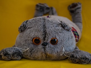 Игрушки из Химок стали победителями Национальной премии