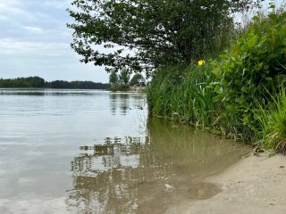 Откроют ли для купания городской пляж в Бронницах