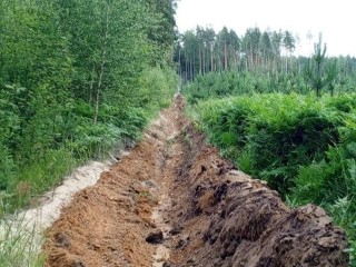 В Орехово-Зуевском лесничестве начали подготовку к противопожарным работам 2026 года