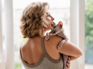 Какую кошку выбрать? Обзор пород и цен в Серебряных Прудах