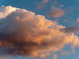 В Московском регионе 31 июля установилась душная жара