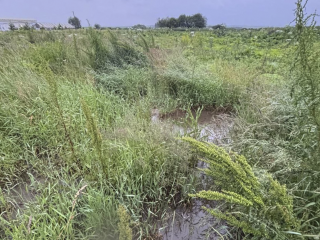В деревне Секирино заменили изношенную трубу водоснабжения