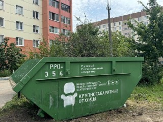 Жителей Подмосковья оштрафовали за сброс крупногабаритных отходов