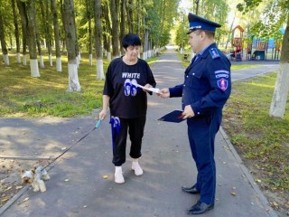 В Подмосковье за неправильный выгул животных взыскали ₽300 тыс.