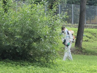В Истринском округе провели обработку парков от клещей