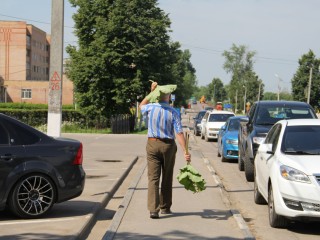 Лотошино останется во власти жары до конца выходных