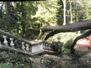 Два огромных дерева повредили историческую балюстраду в усадьбе Быково