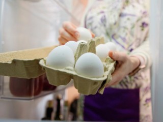 Жители Солнечногорска грозятся «яичной атакой» на шумных питбайкеров