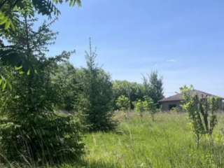 Максимальная цена лота была зарегистрирована в городском округе Коломна