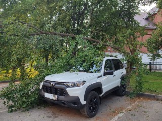 Последствия шторма в Раменском на утро 10 июля: перекрытые дороги и поваленные деревья