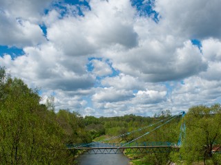 В Истру «приплыли дельфины»