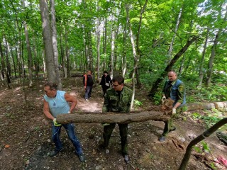 Более гектара леса очистили от мусора в Пушкинском округе