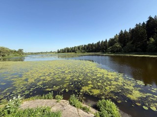 Запруду и берег реки Маглуши в Брыкове приведут в порядок