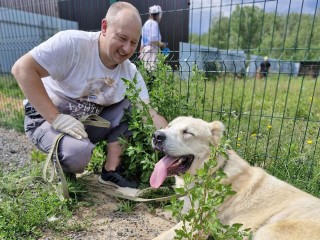 Международный день собак пенсионеры из Пушкино отметили в приюте для животных