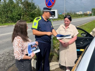 Автомобилистам «под градусом» в Рузе устроили тест-контроль