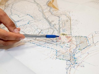 В Дедовске начали проектировать новый лесопарк с зонами отдыха и спорта