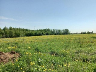 В Подмосковье вырос спрос на участки под личное хозяйство