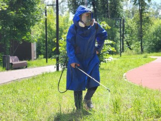 Два парка в Лосино-Петровском обработали от клещей