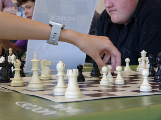Посетителей Фрязинского лесопарка научили играть в шахматы