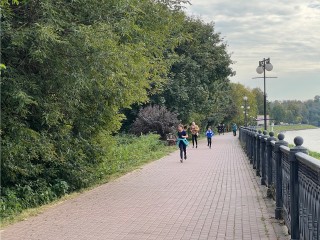Кот Ученый и Маленький принц теперь украшают деревья парка в Химках