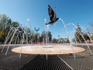 Жара до +30 вернется в Истру