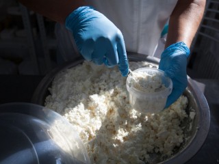 За подделку молочной продукции могут ввести уголовную ответственность