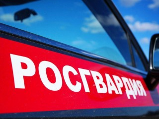 Росгвардейцы задержали двух мужчин, похитивших стройматериалы на ₽30 тыс. в Ленинском округе