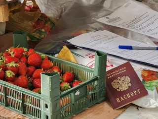 В районе станции «Лобня» пресекли несанкционированную торговлю
