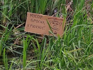 Мусор бросил, хрюкни: житель Ленинского округа рассказал, почему убирает мусор у пруда