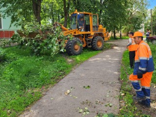 В парке «Фабричный пруд» убирают деревья, поваленные ветром