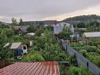 Дожди разрушают урожай: как спасти растения от болезней и вредителей в сырую погоду