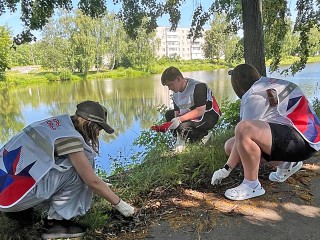 Экосознание в действии: берег пруда в Михневе стал чище благодаря «Волонтерам Подмосковья»