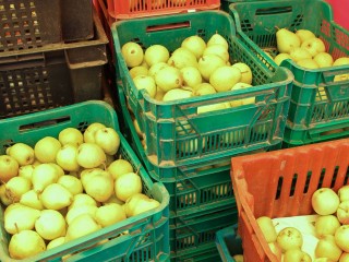 Купить овощи и ягоды на ярмарках звенигородцы смогут с 11 по 20 июля